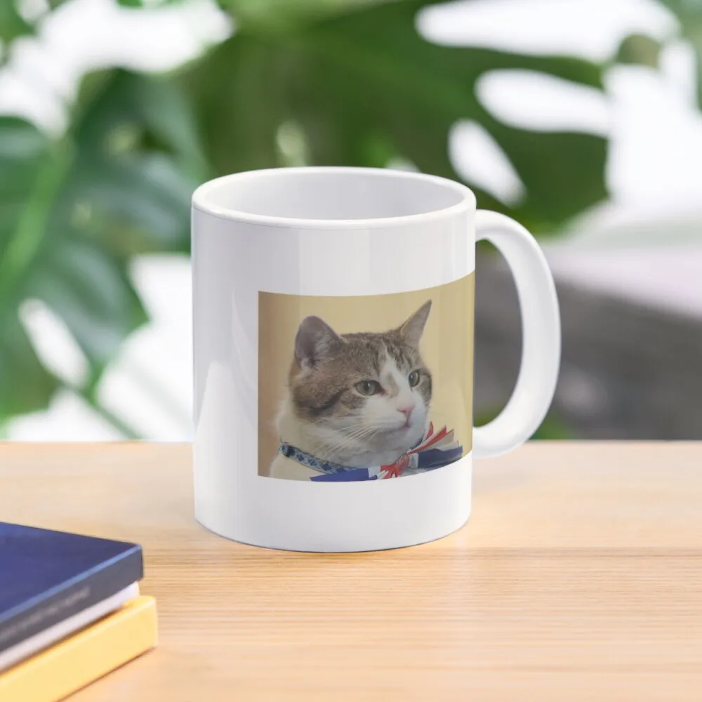 Larry The CatPortraitCoffee Mug Espresso Cup Ceramic Coffee Cups Cute Mugs Tea And Coffee Cups
Larry The CatPortraitCoffee Mug Espresso Cup Ceramic Coffee Cups Cute Mugs Tea And Coffee Cups