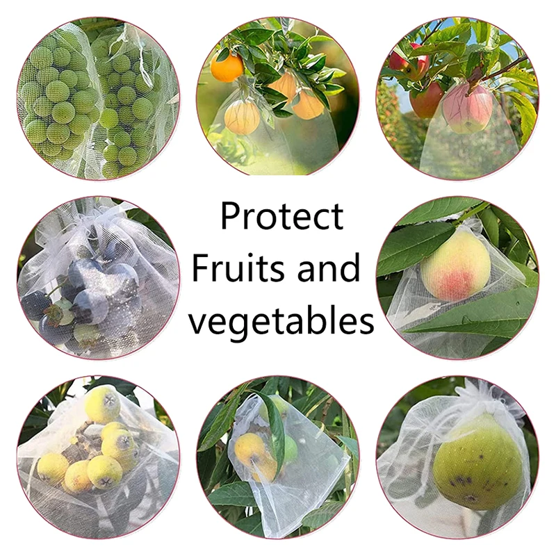 Садовые сетчатые мешки, набор из 50 предметов, защита виноградных фруктов, сумка для инструментов для борьбы с птицами и вредителями. 
Садовые сетчатые мешки, набор из 50 предметов, защита виноградных фруктов, сумка для инструментов для борьбы с птицами и вредителями.