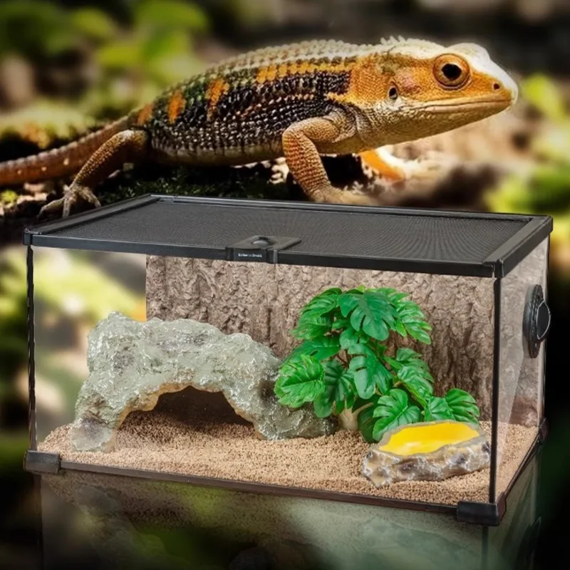 Magnetic Suction Ultra Clear Glass Terrarium Escape Proof Vivarium Tank For Reptile Lovers Table Rainforest Habitat Gift Cozy
Magnetic Suction Ultra Clear Glass Terrarium Escape Proof Vivarium Tank For Reptile Lovers Table Rainforest Habitat Gift Cozy