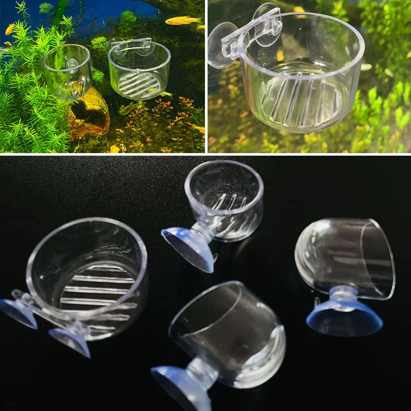 Acrylic Aquatic Plant Cup Aquarium Fish Tank Glass Plant Pot with Suction Holder Feeding Container Stand for Aquarium Lanscape
Acrylic Aquatic Plant Cup Aquarium Fish Tank Glass Plant Pot with Suction Holder Feeding Container Stand for Aquarium Lanscape