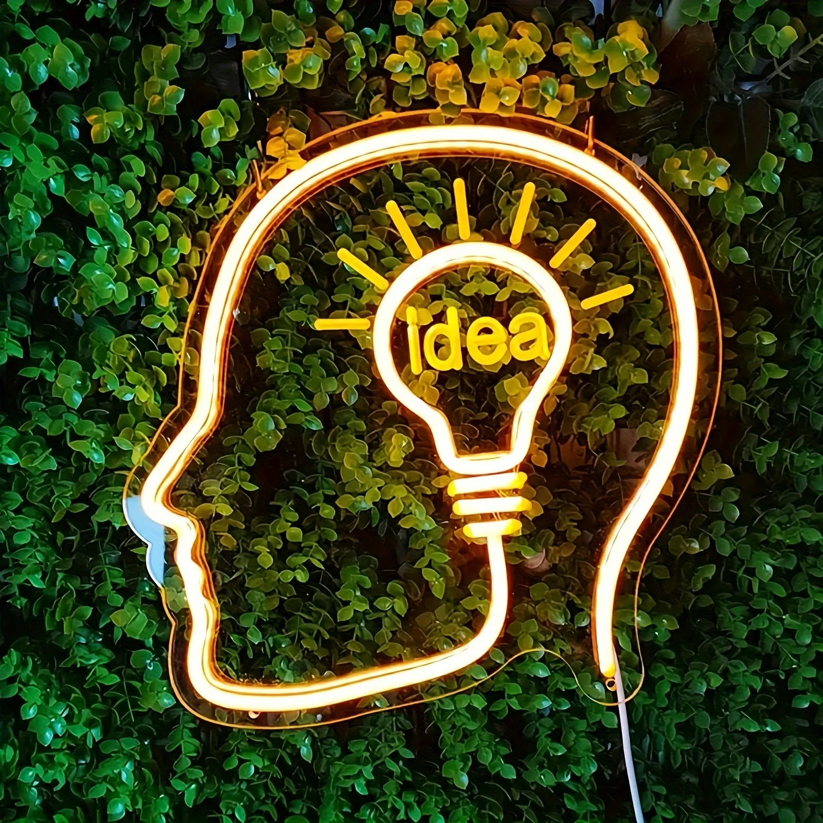 Idea Neon Lights, USB Powered Wall Decorating Lights, Room Decorations, Party Decorations, Learning Gifts for Boys and Girls
Idea Neon Lights, USB Powered Wall Decorating Lights, Room Decorations, Party Decorations, Learning Gifts for Boys and Girls
