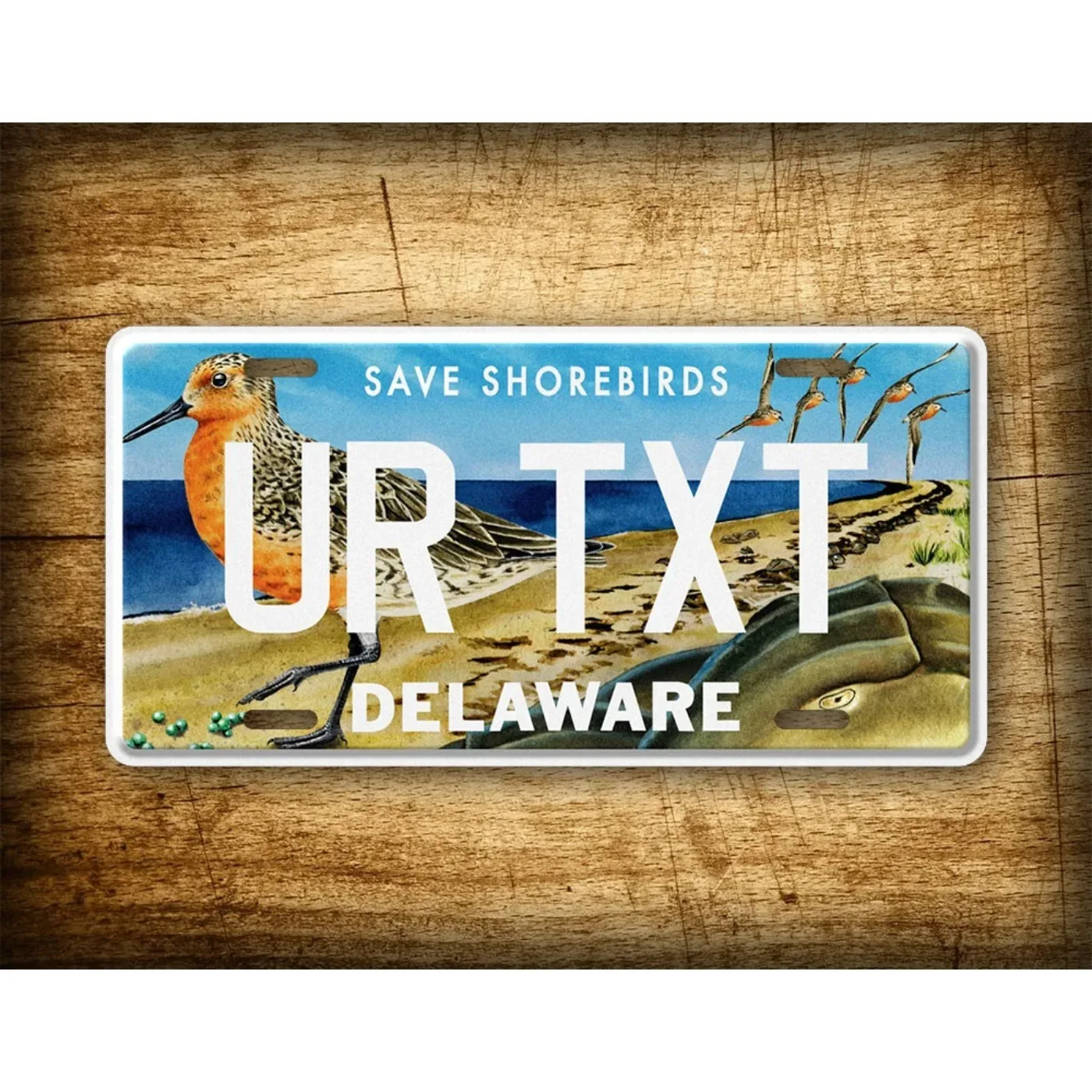 1PC Custom Delaware Save Shorebirds Metal Sign, 6x12 Inch, Dustproof Waterproof Home Wall Art (Only Decoration)
1PC Custom Delaware Save Shorebirds Metal Sign, 6x12 Inch, Dustproof Waterproof Home Wall Art (Only Decoration)