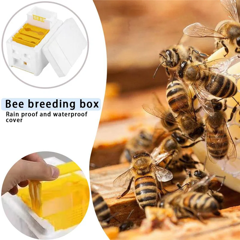 AB33-2Pcs Bee Hive Frame Holder Equipment Kit Bee Hive Foam Beekeeping Box Beehive Garden Bee Keeping Bee Tool Nest Case
AB33-2Pcs Bee Hive Frame Holder Equipment Kit Bee Hive Foam Beekeeping Box Beehive Garden Bee Keeping Bee Tool Nest Case
