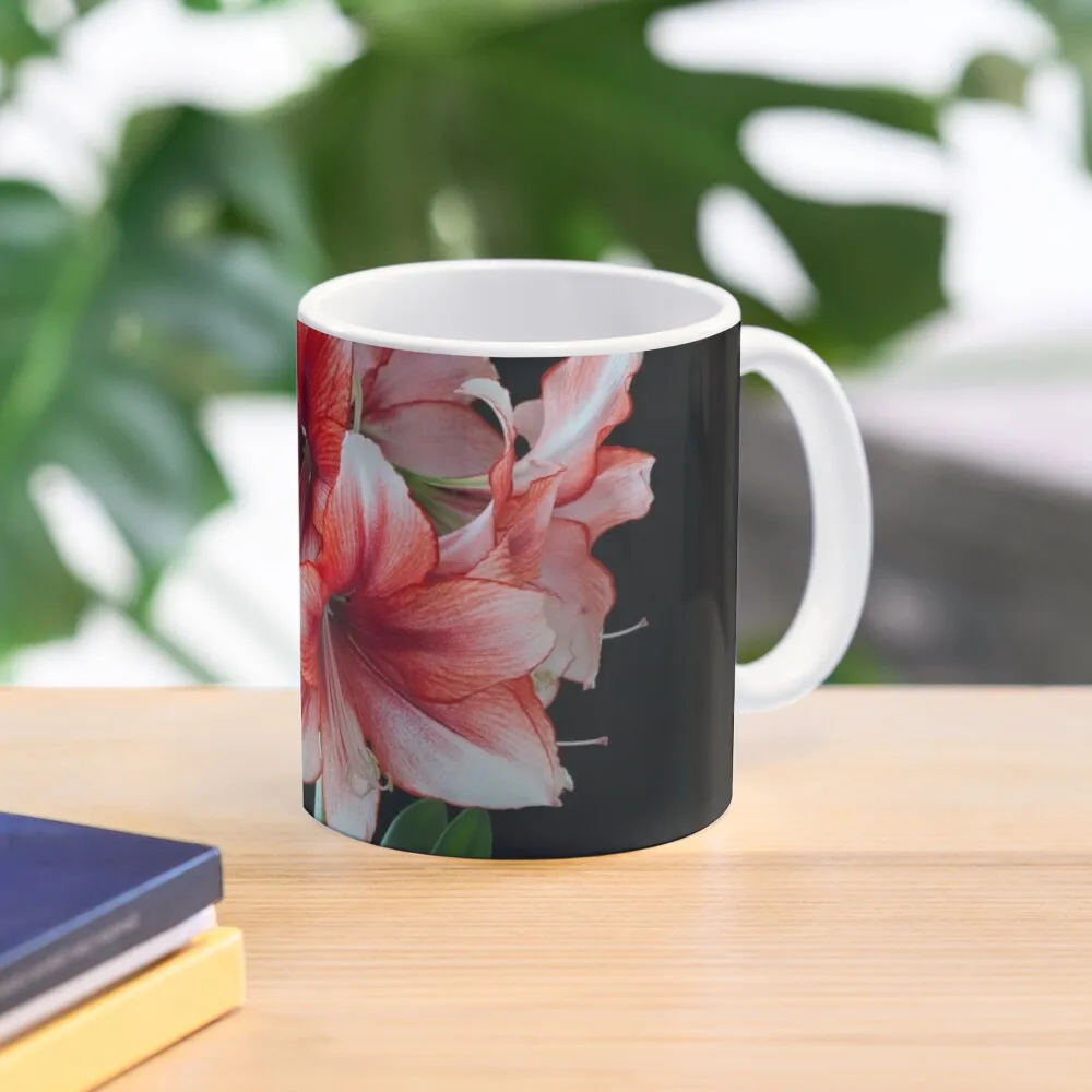 Amaryllis 'Temptation' Coffee Mug Aesthetic Cups Beautiful Teas Cold And Hot Thermal Glasses Set Mug
Amaryllis 'Temptation' Coffee Mug Aesthetic Cups Beautiful Teas Cold And Hot Thermal Glasses Set Mug