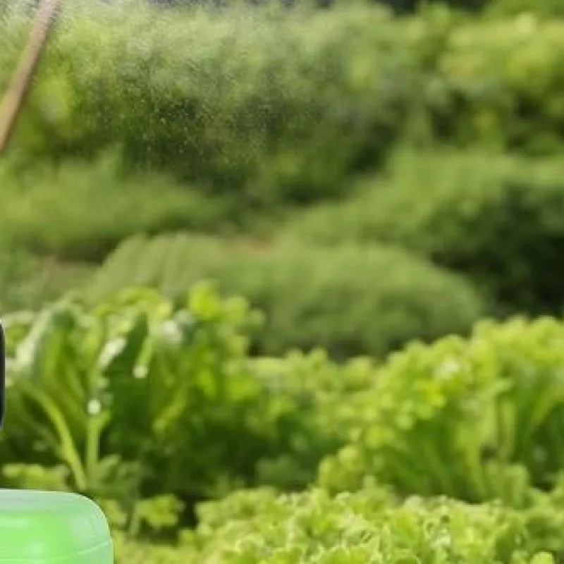 6/8L Garden Sprayer with USB Rechargeable Handle 3 Mist Nozzles Plant Sprayer with Dual Spray Modes for Yard Lawn and Garden
6/8L Garden Sprayer with USB Rechargeable Handle 3 Mist Nozzles Plant Sprayer with Dual Spray Modes for Yard Lawn and Garden