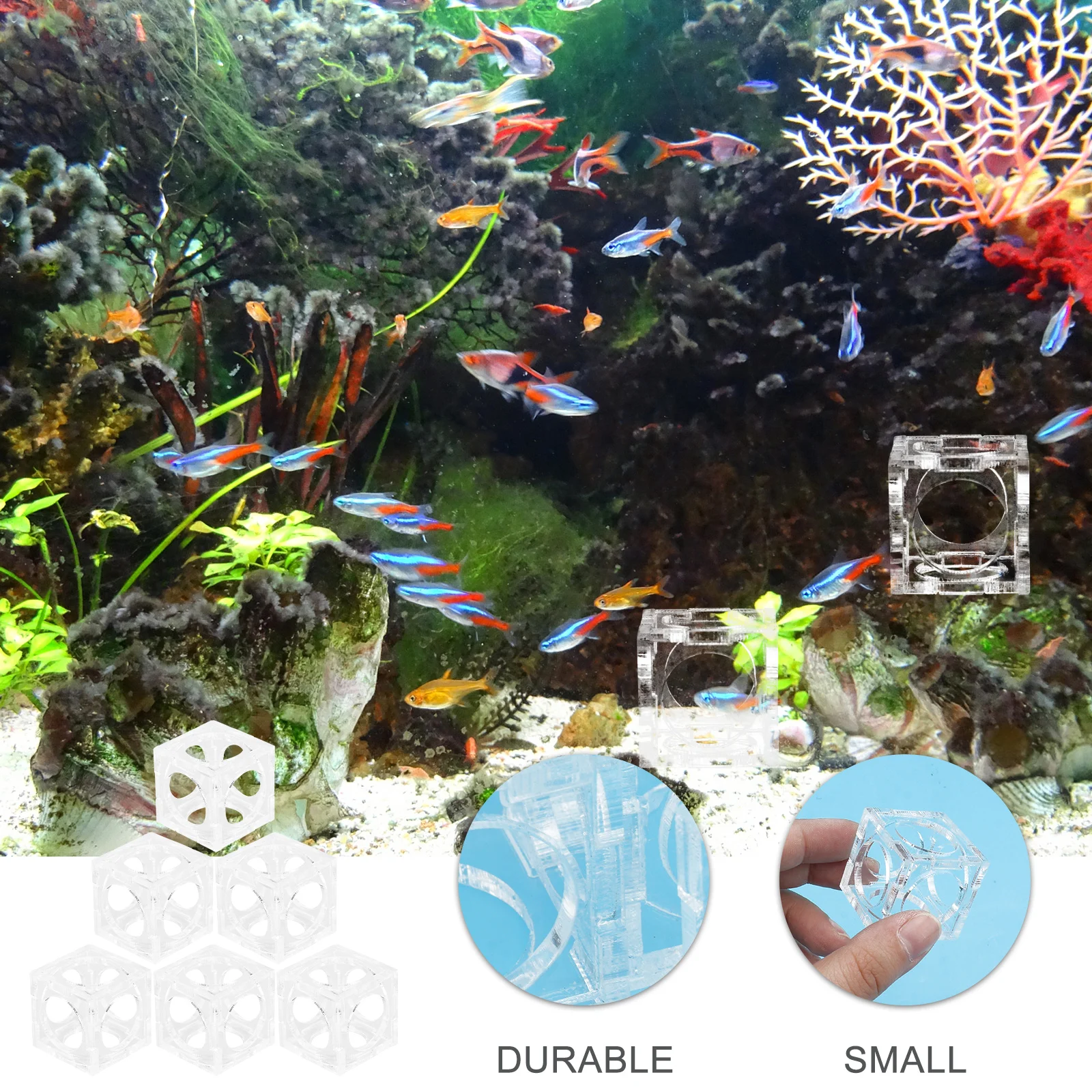 6Pcs Acrylic Shrimp Nest Transparent Fish Tank Ornament Hiding Cave for Small Fish Breeding Spawning Shelter Aquarium Decoration
6Pcs Acrylic Shrimp Nest Transparent Fish Tank Ornament Hiding Cave for Small Fish Breeding Spawning Shelter Aquarium Decoration