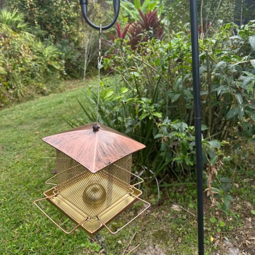 Large Capacity Garden Bird Feeder Heavy Duty Squirrel Proof Bird Food Bowl Iron Hanging Bird Feeding Equipment Lawn
Large Capacity Garden Bird Feeder Heavy Duty Squirrel Proof Bird Food Bowl Iron Hanging Bird Feeding Equipment Lawn