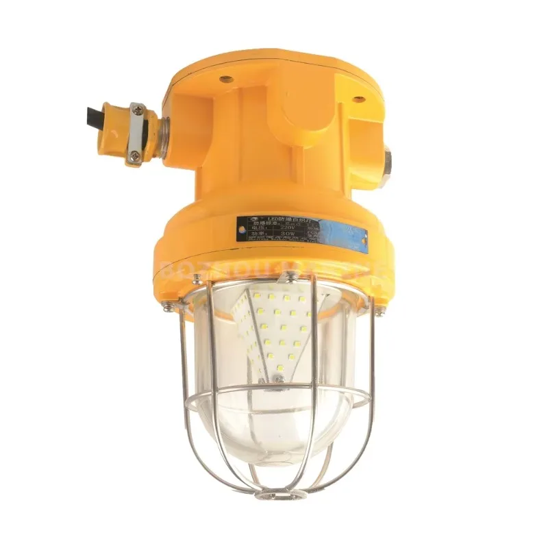 CFD1 220V Incandescent IP65 Explosion-proof Light for Boat
CFD1 220V Incandescent IP65 Explosion-proof Light for Boat