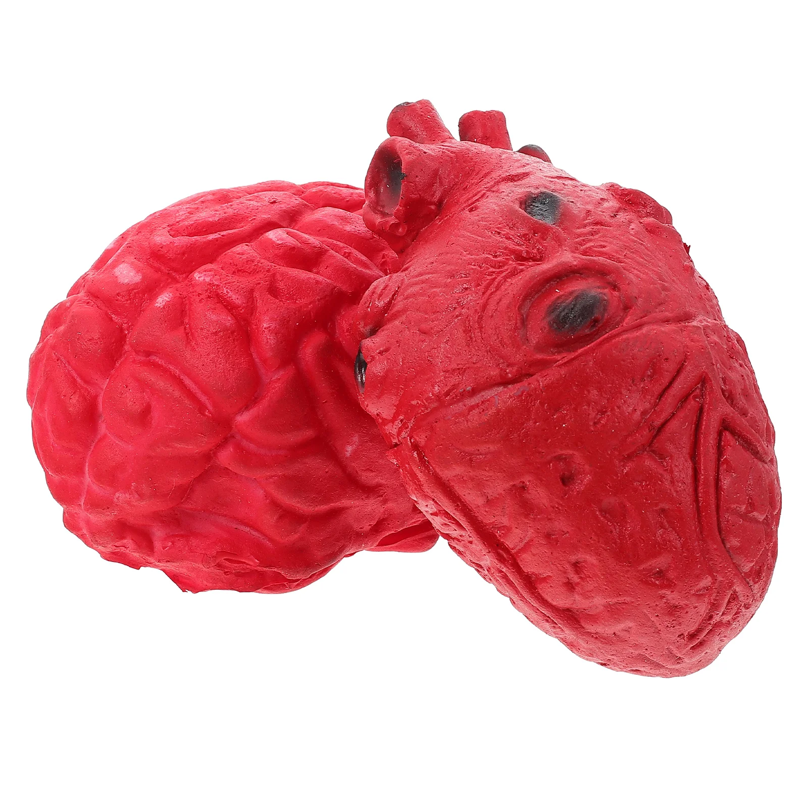 2pcs Human Organ Props Realistic Heart Brain Toys Halloween Decorative Haunted House Props Supplies Simulation Scary Prank
2pcs Human Organ Props Realistic Heart Brain Toys Halloween Decorative Haunted House Props Supplies Simulation Scary Prank