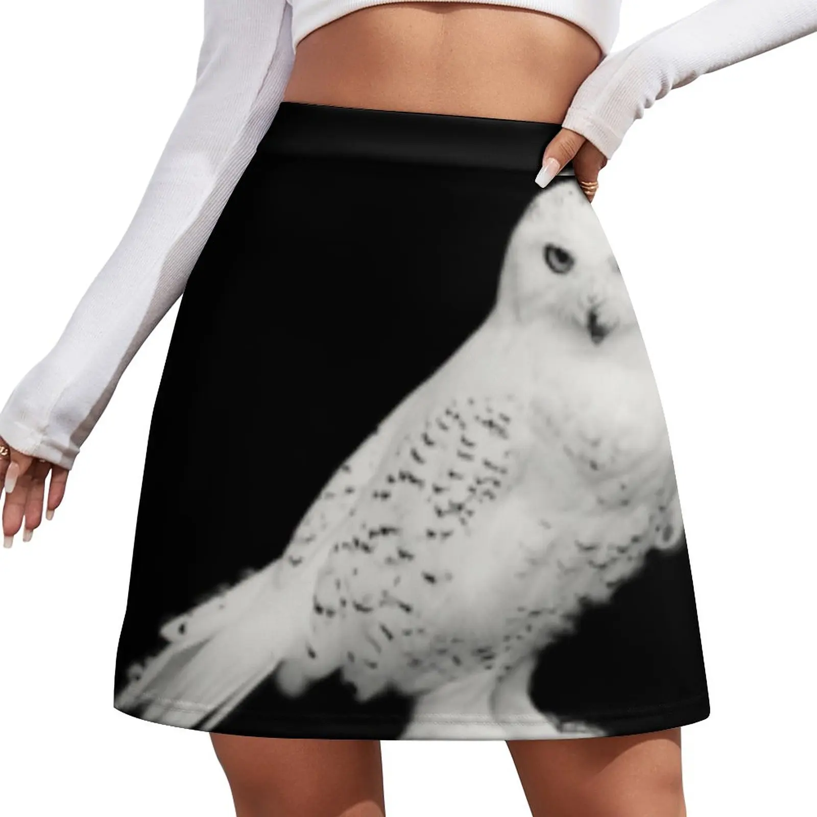 Snow Owl Mini Skirt dress women summer novelty in clothes Female skirt japanese kawaii clothes
Snow Owl Mini Skirt dress women summer novelty in clothes Female skirt japanese kawaii clothes