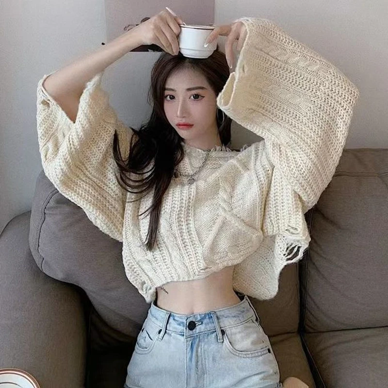 Jacquard Knit Solid Hole Autumn Winter Round Neck Crop Long Sleeve Lazy Style Women Top Fashion Oversized Harajuku Cool Clothes
Jacquard Knit Solid Hole Autumn Winter Round Neck Crop Long Sleeve Lazy Style Women Top Fashion Oversized Harajuku Cool Clothes