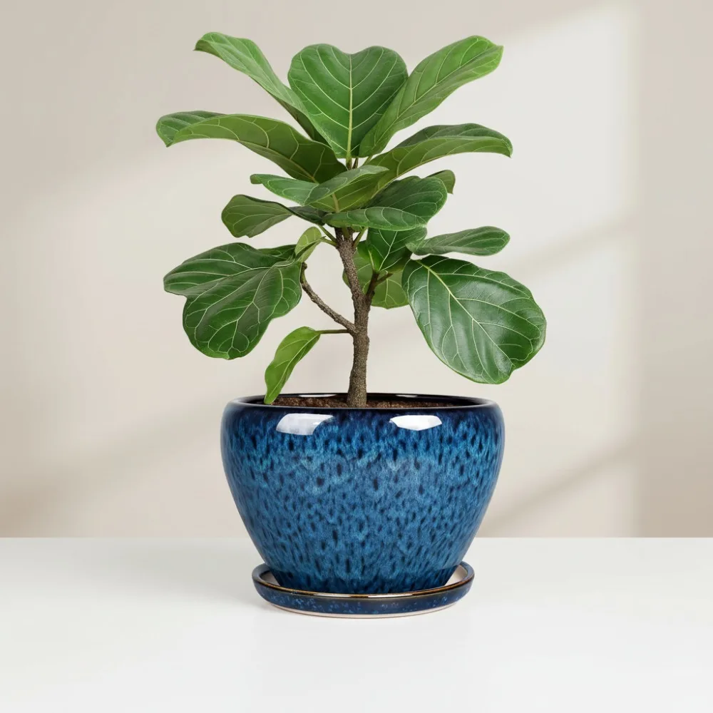 10-дюймовый керамический горшок для растений с дренажными отверстиями и подносом — большой синий цветочный горшок для комнатных и наружных растений
10-дюймовый керамический горшок для растений с дренажными отверстиями и подносом — большой синий цветочный горшок для комнатных и наружных растений