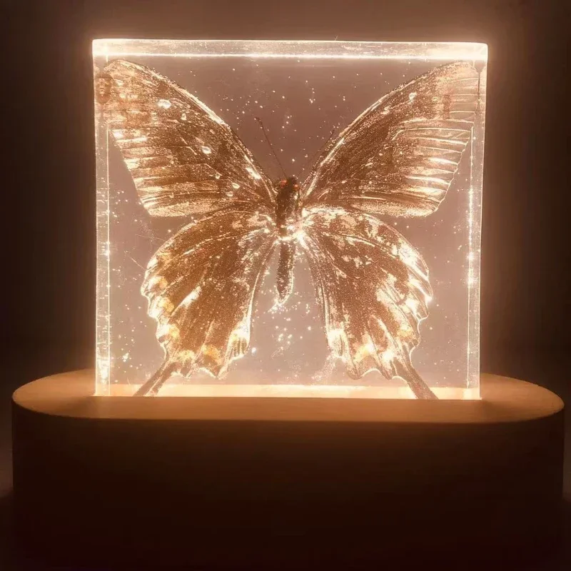 Real butterfly specimen night light ornament living room decoration pendant jewelry
Real butterfly specimen night light ornament living room decoration pendant jewelry