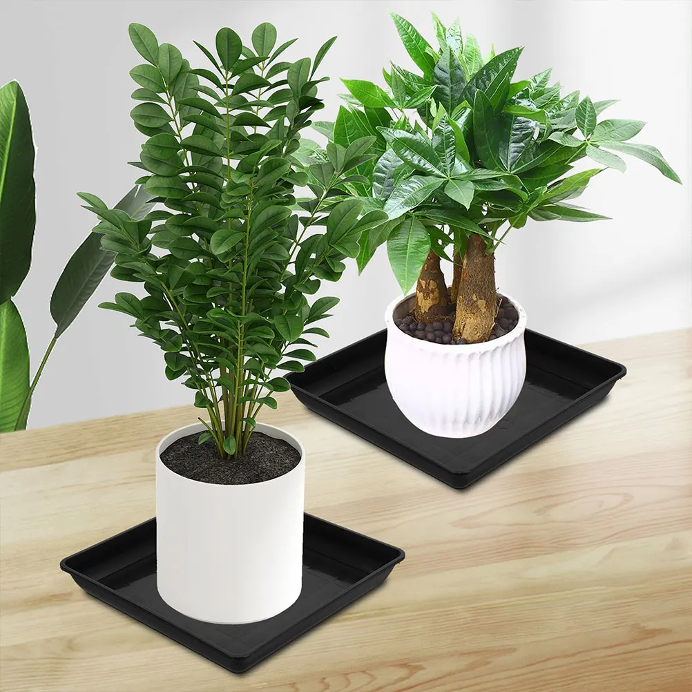 4 Pcs Plant Saucers Garden Pot Bottom Support Drainage Tray Plate Flower Pot Trays Indoor Plants Water Collection Spillage
4 Pcs Plant Saucers Garden Pot Bottom Support Drainage Tray Plate Flower Pot Trays Indoor Plants Water Collection Spillage
