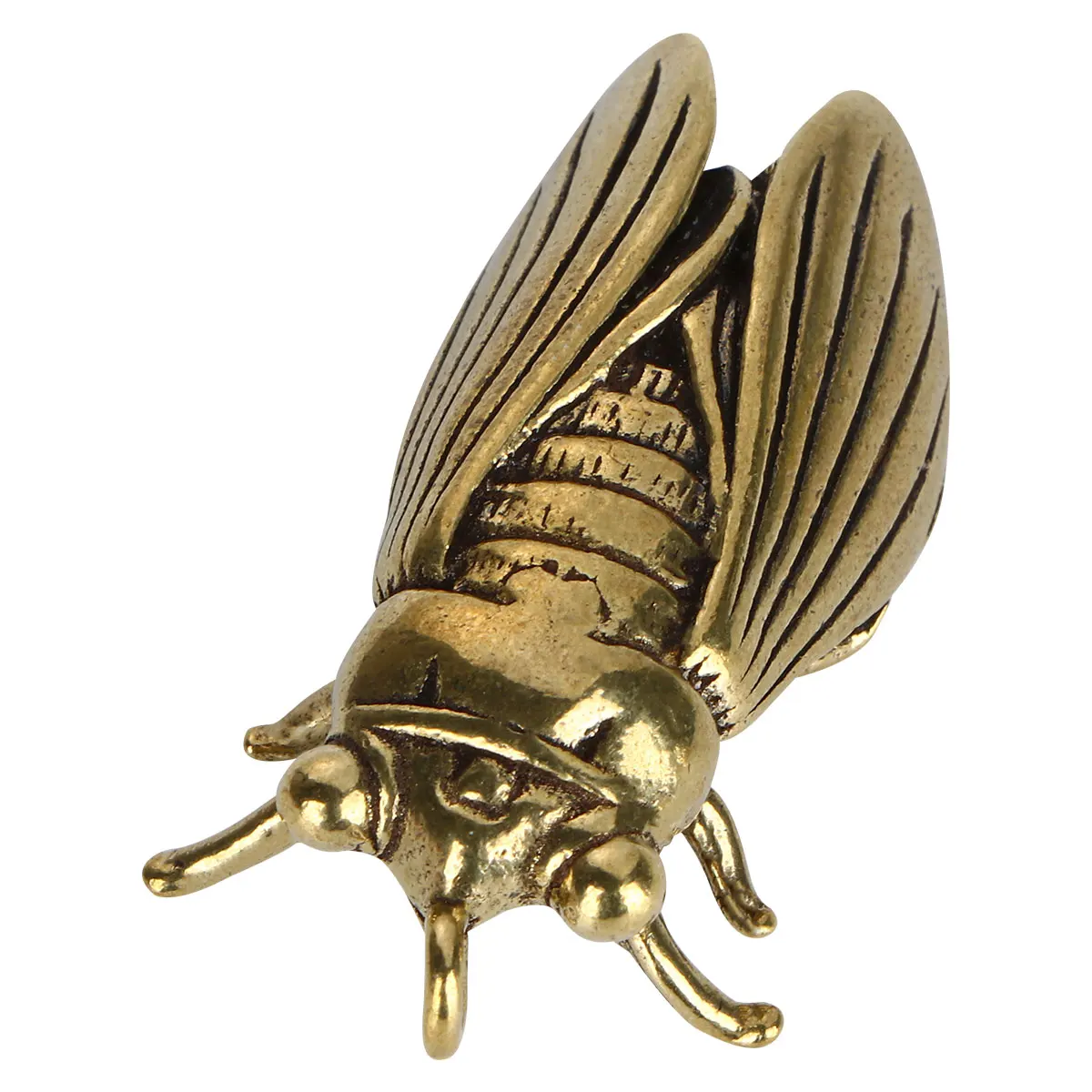 1pc Vintage Brass Cicada Pendant for Necklace Bracelet Earrings DIY Jewelry Making Crafts Accessories Retro Charm Decor Gift
1pc Vintage Brass Cicada Pendant for Necklace Bracelet Earrings DIY Jewelry Making Crafts Accessories Retro Charm Decor Gift