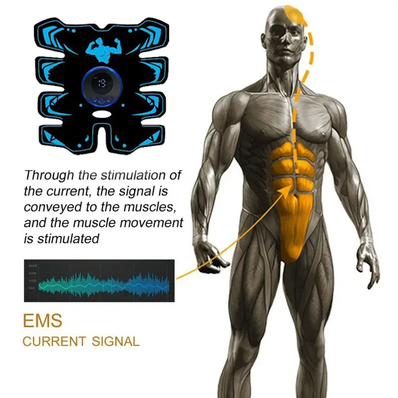 New USB Rechargeable EMS Muscle Stimulator ABS Arm 3 IN 1 Trainer Smart Wireless Fitness Abdominal Training Electric Body Slim
New USB Rechargeable EMS Muscle Stimulator ABS Arm 3 IN 1 Trainer Smart Wireless Fitness Abdominal Training Electric Body Slim
