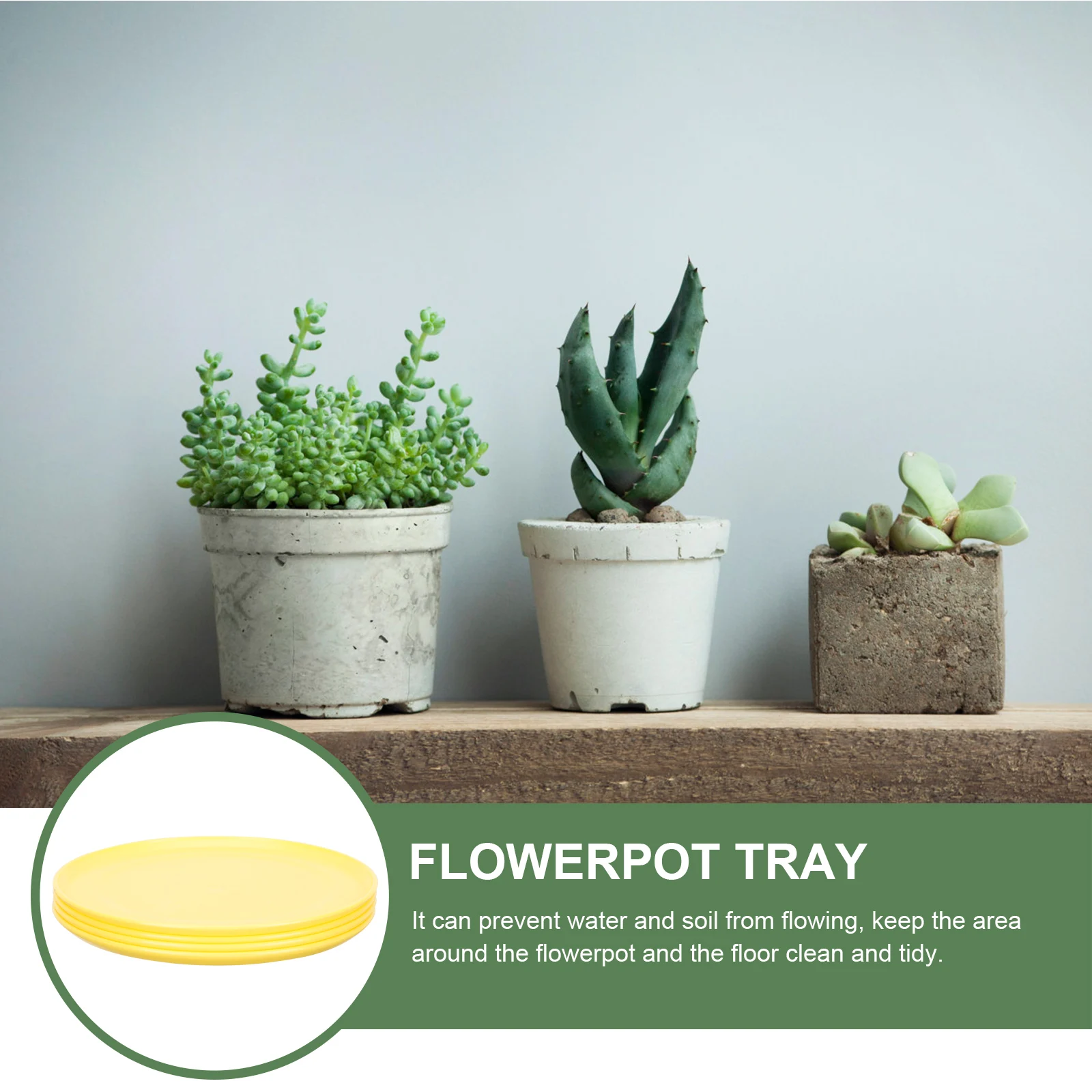 4pcs Bright Yellow Medium Size Round Thickened Flowerpot Trays for Plants Plant Trays Potted Plant Accessories
4pcs Bright Yellow Medium Size Round Thickened Flowerpot Trays for Plants Plant Trays Potted Plant Accessories