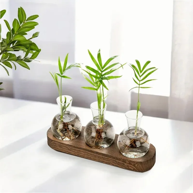 Glass Terrarium for Plants with Wooden Tray – For indoor propagation hydroponic vase,Desktop Home Office Decoration
Glass Terrarium for Plants with Wooden Tray – For indoor propagation hydroponic vase,Desktop Home Office Decoration
