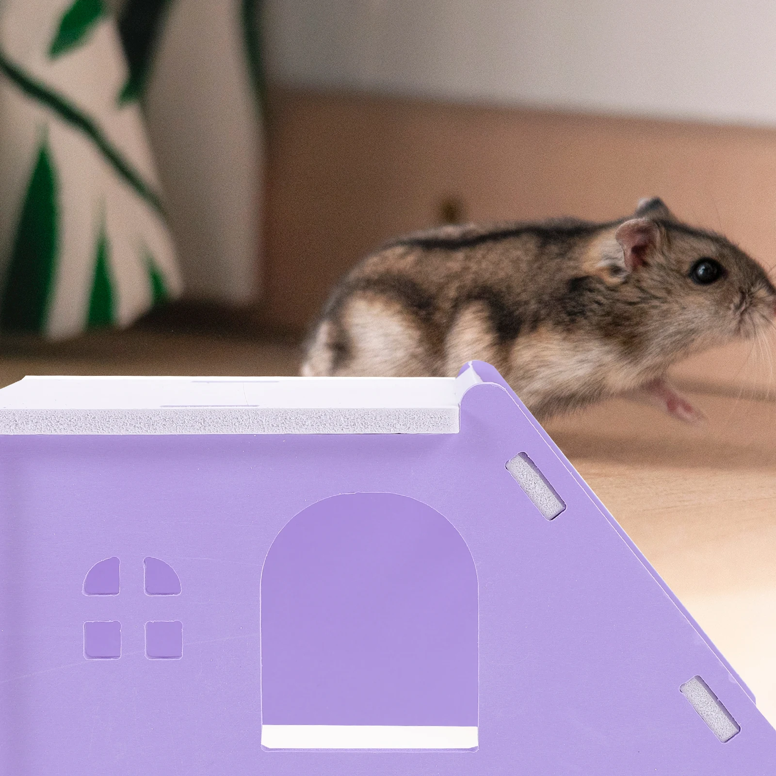 Hamster Sleep Nest Pvc Small Animal Hideout For Guinea Pig Rabbit Squirrel Chinchilla Rat Pet Shelter Bed
Hamster Sleep Nest Pvc Small Animal Hideout For Guinea Pig Rabbit Squirrel Chinchilla Rat Pet Shelter Bed