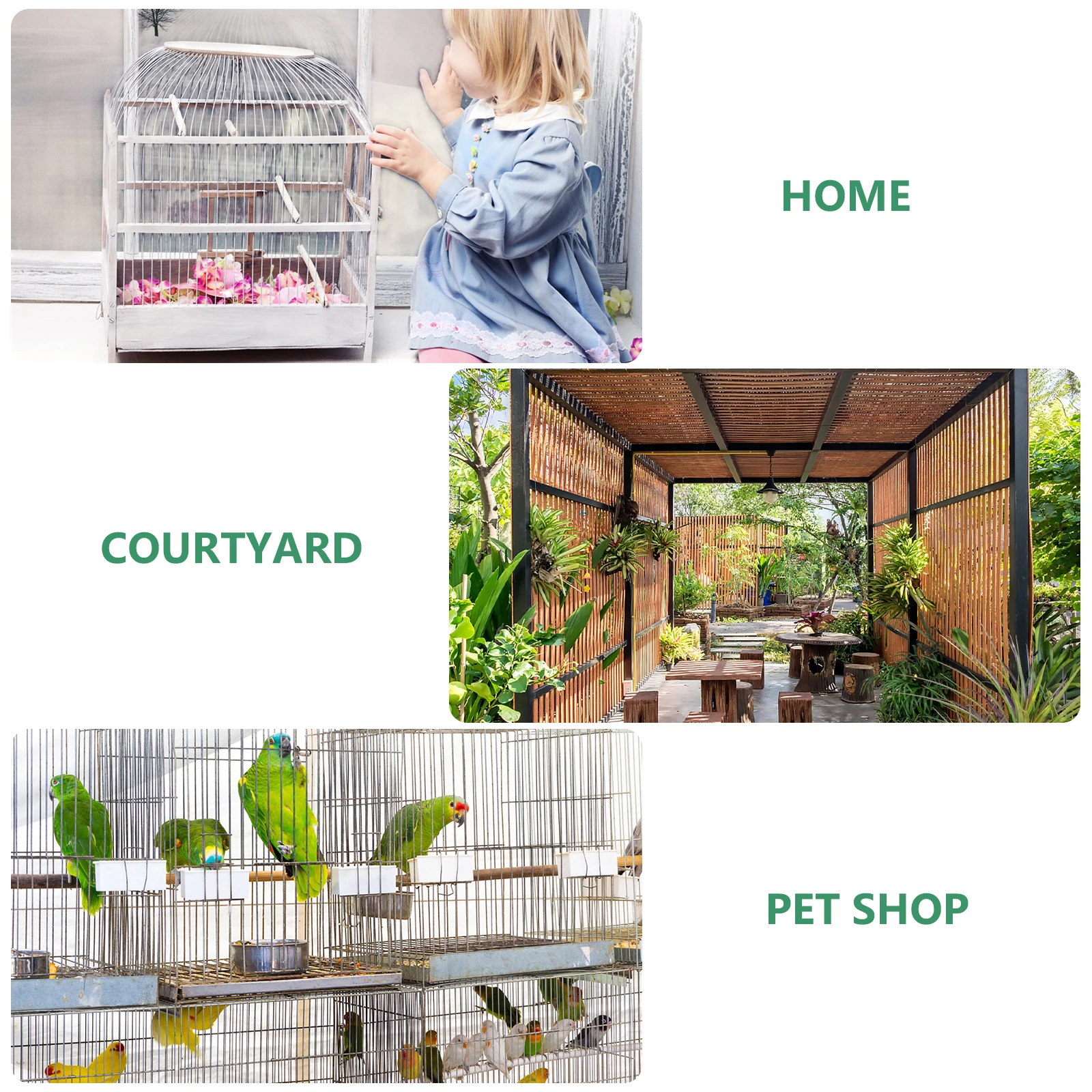 10 Pcs Automatic Drinking Fountain Water Dispenser for Parakeet Cage Birds Drinker Feeder No Mess Container Feeders with Parrot
10 Pcs Automatic Drinking Fountain Water Dispenser for Parakeet Cage Birds Drinker Feeder No Mess Container Feeders with Parrot