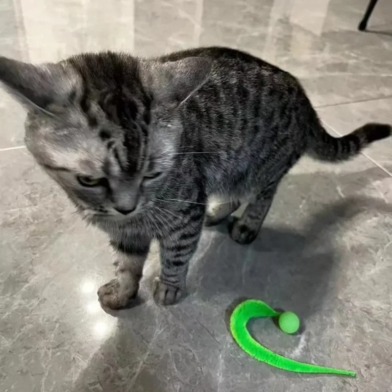 Cat Interactive Toys Tickle Cat Colorful Bouncing Ball Pet Supplies Puzzle Teasing Indoor Cat Worm Caterpillar Elastic Toy
Cat Interactive Toys Tickle Cat Colorful Bouncing Ball Pet Supplies Puzzle Teasing Indoor Cat Worm Caterpillar Elastic Toy