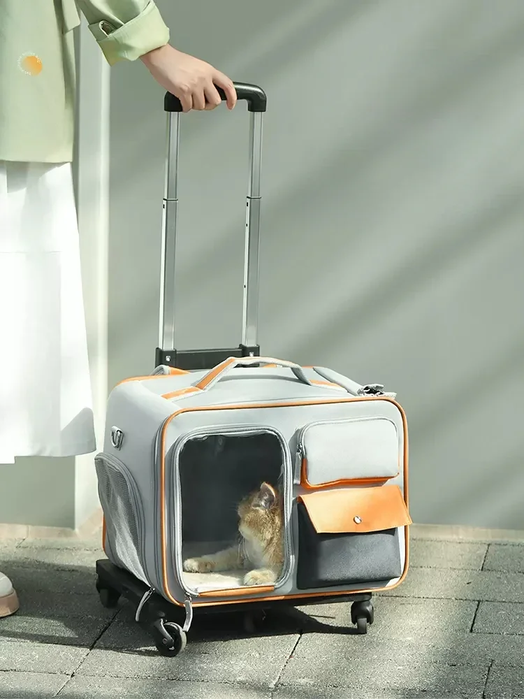 Pet Wheel Carrier Dog Cat Carring Bag Rolling Luggage Backpack Travel Tote Trolley Bags for Dogs Stroller Drop Ship
Pet Wheel Carrier Dog Cat Carring Bag Rolling Luggage Backpack Travel Tote Trolley Bags for Dogs Stroller Drop Ship