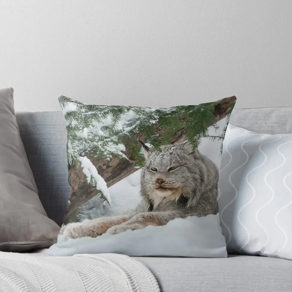 Canada Lynx Throw Pillow christmas pillowcases luxury decor Decorative Cushions pillow
Canada Lynx Throw Pillow christmas pillowcases luxury decor Decorative Cushions pillow
