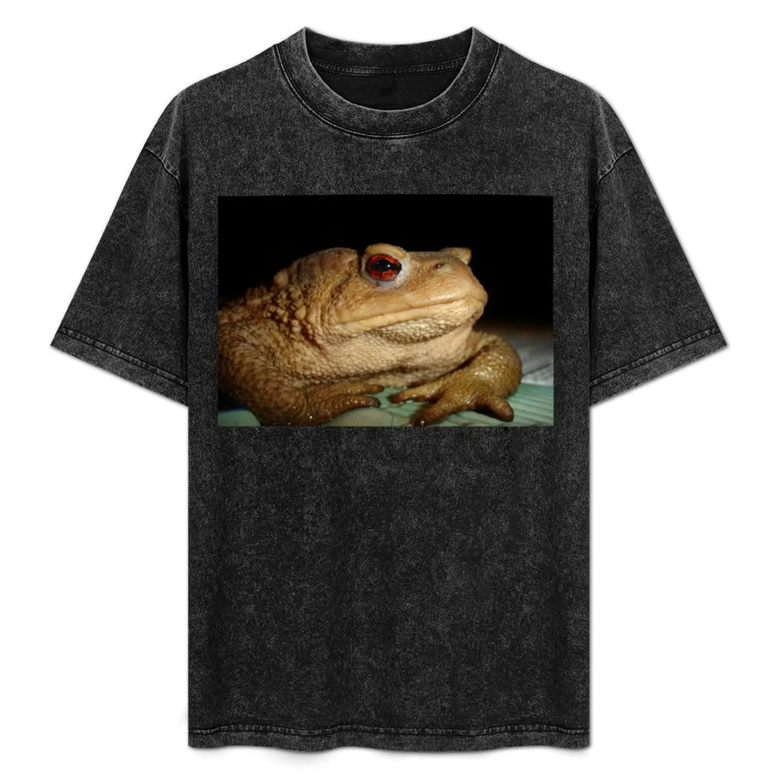 Common European Toad Bufo Bufo Close Up Photograph T-Shirt Soft Durable Cotton T-Shirt
Common European Toad Bufo Bufo Close Up Photograph T-Shirt Soft Durable Cotton T-Shirt