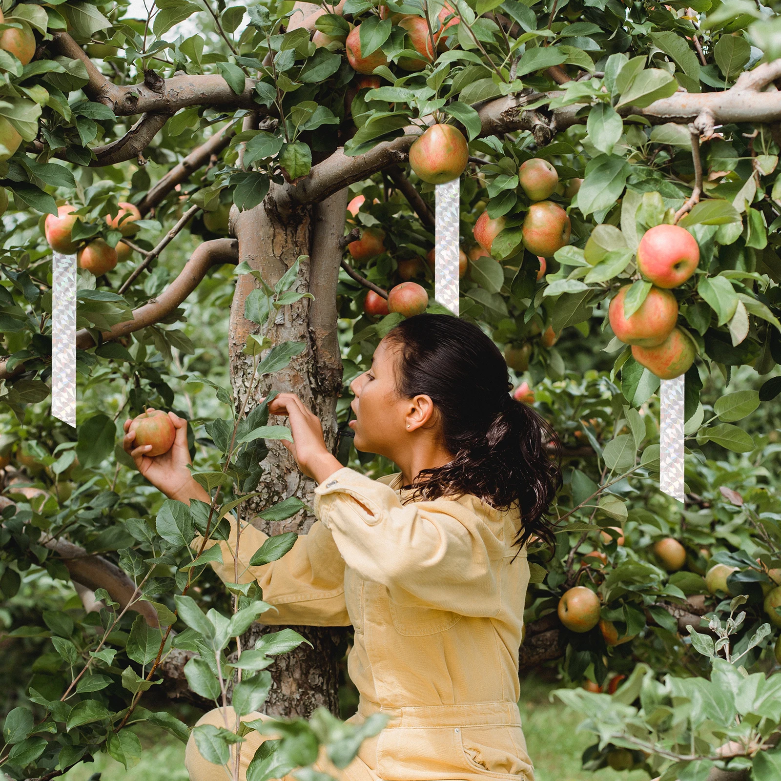 2 Pcs Reflective Bird Repellent Ribbon PET Material Silver Double Sided Tape for Garden Balcony Roof Farm Airport
2 Pcs Reflective Bird Repellent Ribbon PET Material Silver Double Sided Tape for Garden Balcony Roof Farm Airport