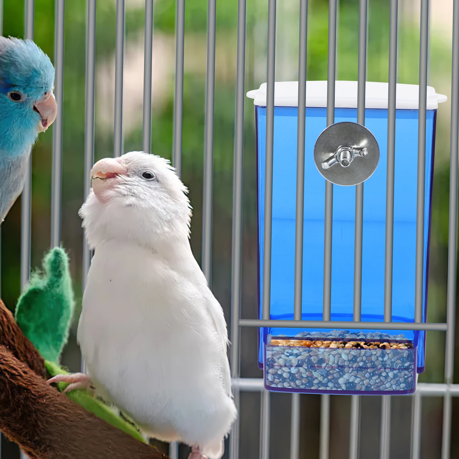 Automatic Bird Feeder Transparent Blue Cage Accessories Parrot Food Container Practical Design Feed Holder For Quail Parakeets
Automatic Bird Feeder Transparent Blue Cage Accessories Parrot Food Container Practical Design Feed Holder For Quail Parakeets