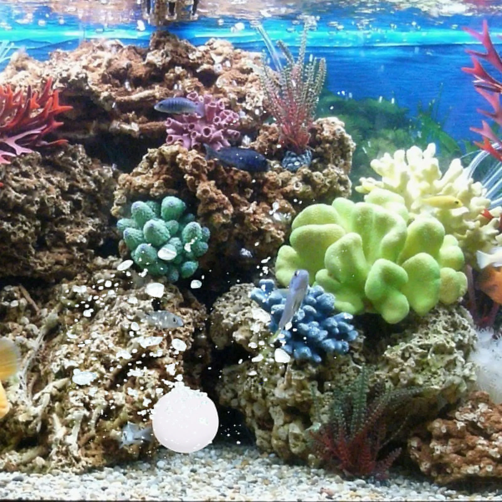 10 CO2 Tablets for Aquarium Water GrassPortable Effective Supplement Household Co2 Tablet Fish Tank Co2 Premium
10 CO2 Tablets for Aquarium Water GrassPortable Effective Supplement Household Co2 Tablet Fish Tank Co2 Premium