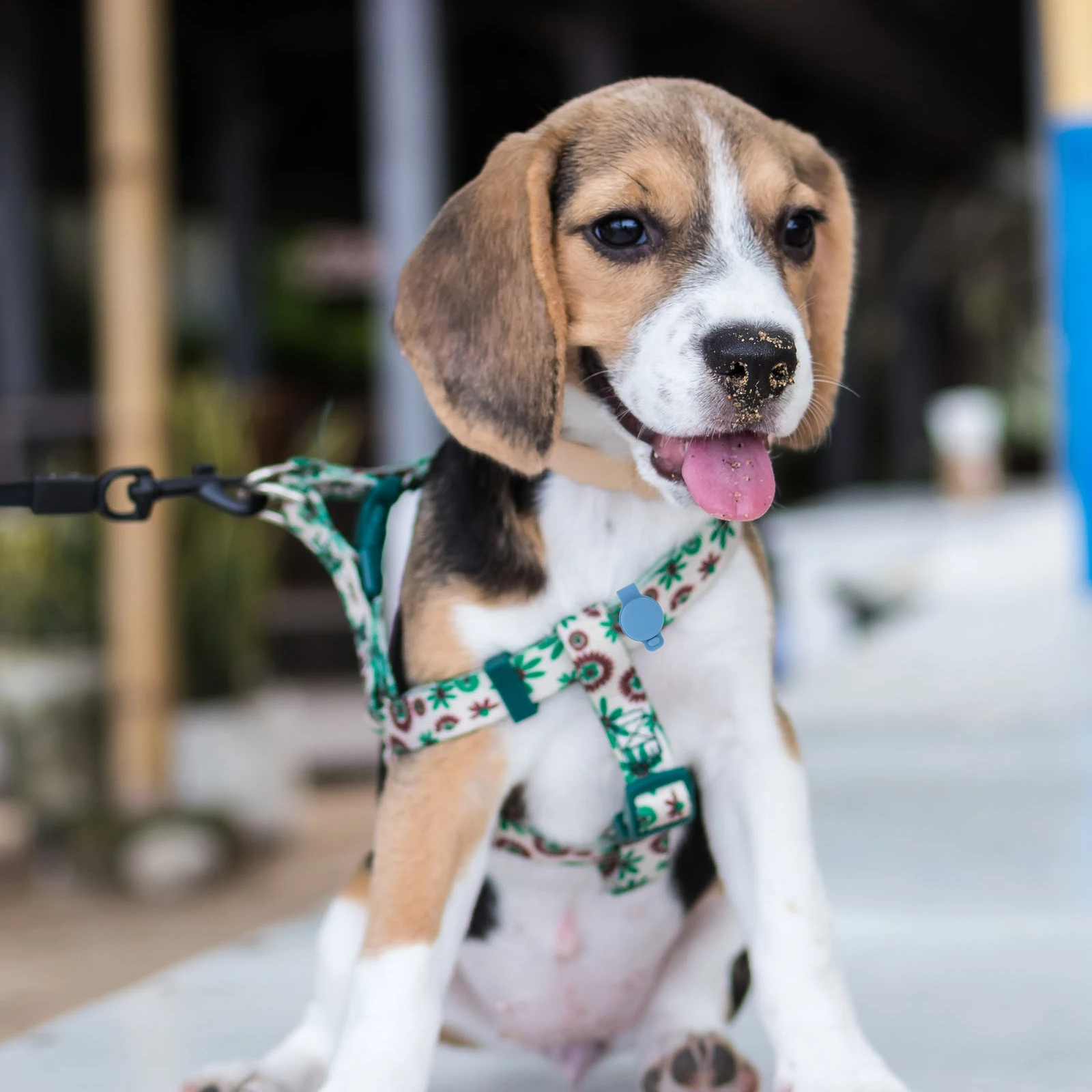 Protective Case Pet Collar Locator Silicone Durable High Quality Material Smart Device Attachment Pet Supplies Tracker
Protective Case Pet Collar Locator Silicone Durable High Quality Material Smart Device Attachment Pet Supplies Tracker