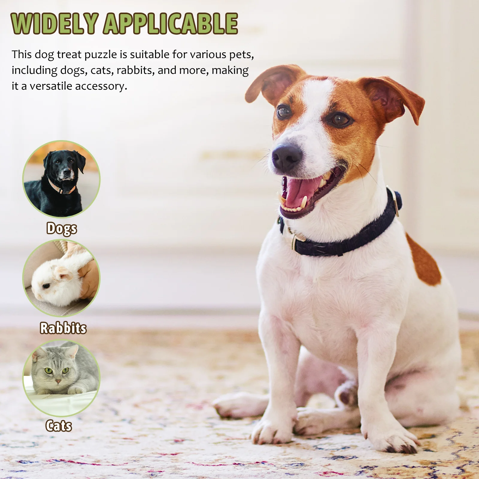 Dumbbell Feeder Treat Dispenser Dog Toys Green Chew Interactive Pet Enrichment Puzzle Toy Safe Rubber Easy Multi
Dumbbell Feeder Treat Dispenser Dog Toys Green Chew Interactive Pet Enrichment Puzzle Toy Safe Rubber Easy Multi
