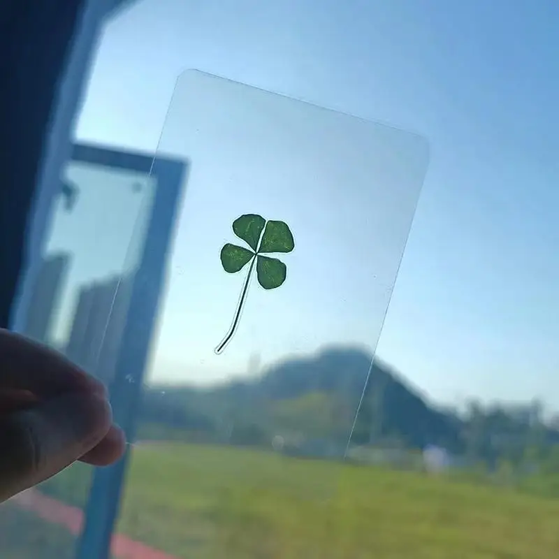 【W】1/5/10Pcs Lucky Clover Postcards Natural Grass Transparent Wishing Cards For Bookmarks
【W】1/5/10Pcs Lucky Clover Postcards Natural Grass Transparent Wishing Cards For Bookmarks
