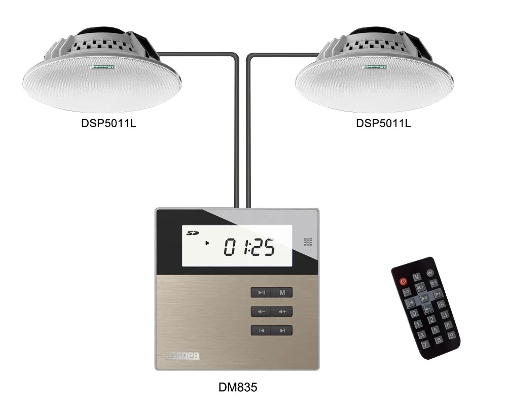 Remote Control 2 Zone On Wall Music Amplifier with Ceiling Speaker for Smart Home
Remote Control 2 Zone On Wall Music Amplifier with Ceiling Speaker for Smart Home
