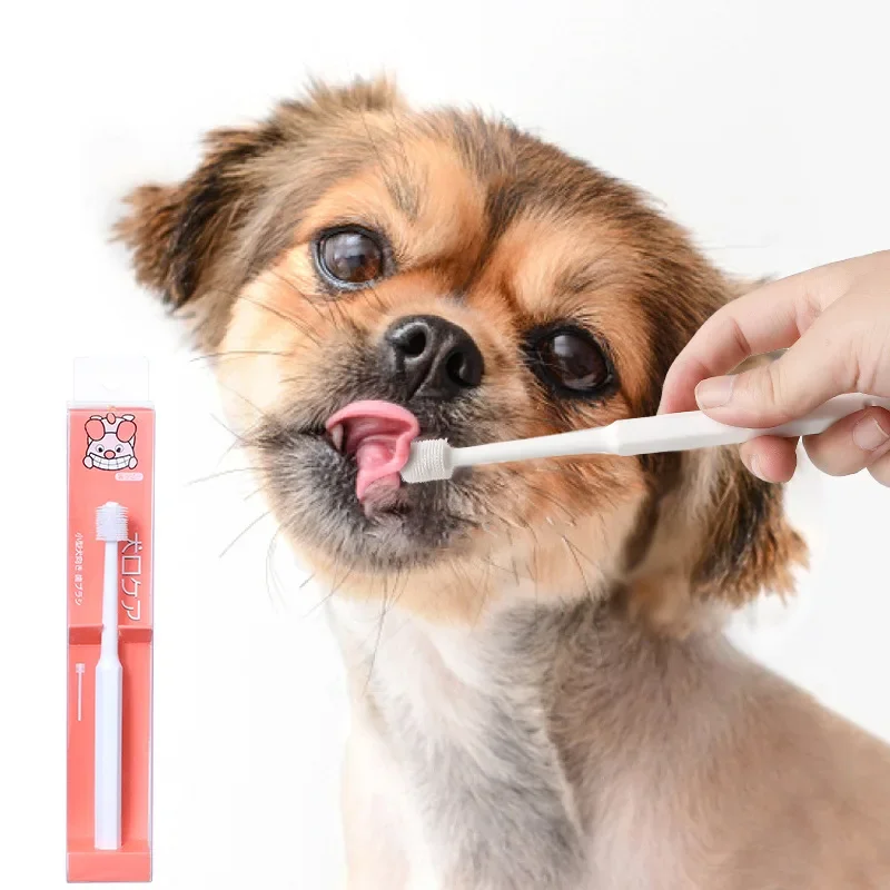 Removing tartar, cleaning pet teeth, toothbrushes, pet grooming and cleaning products
Removing tartar, cleaning pet teeth, toothbrushes, pet grooming and cleaning products