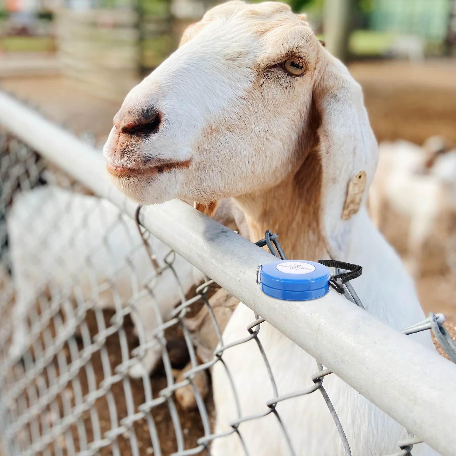 Animal Weight Measuring Tape Portable Pig Cattle Goat Horse Waist Weight Tape Farm Livestock Measuring Tools Accurate Scale
Animal Weight Measuring Tape Portable Pig Cattle Goat Horse Waist Weight Tape Farm Livestock Measuring Tools Accurate Scale