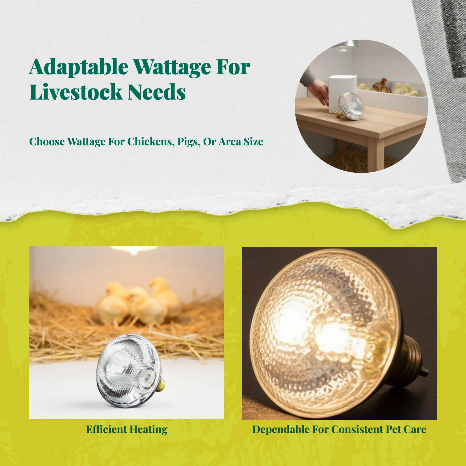 Infrared Heat Lamp Heating Bulb for Herptile, Pet Brooder
Infrared Heat Lamp Heating Bulb for Herptile, Pet Brooder