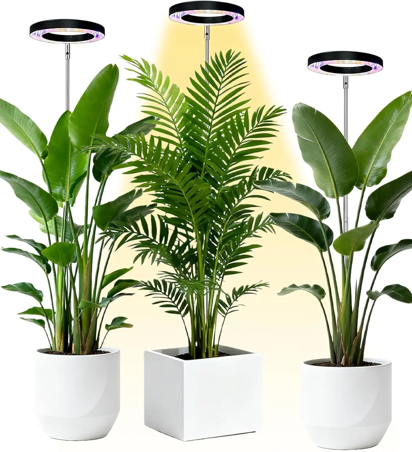Full Spectrum LED Grow Light for Indoor Plants, Height Adjustable, Auto Timer, 5V Safe
Full Spectrum LED Grow Light for Indoor Plants, Height Adjustable, Auto Timer, 5V Safe