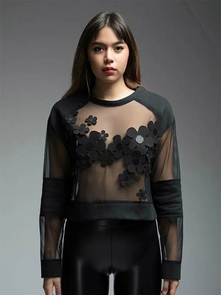 Women's Transparent Mesh Long Sleeve Floral Applique Fashion Casual Party Elegant Round Neck Contrast Color Stitching Shirt
Women's Transparent Mesh Long Sleeve Floral Applique Fashion Casual Party Elegant Round Neck Contrast Color Stitching Shirt