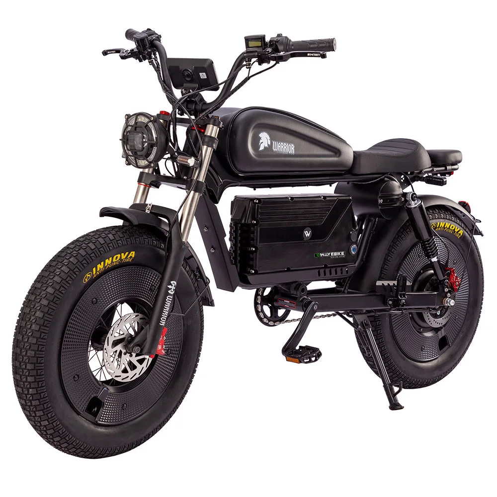 60V 48V Air Shock Electric Bike 45Ah 60Ah Big Battery 7 Speed Mountain Fatbike
60V 48V Air Shock Electric Bike 45Ah 60Ah Big Battery 7 Speed Mountain Fatbike