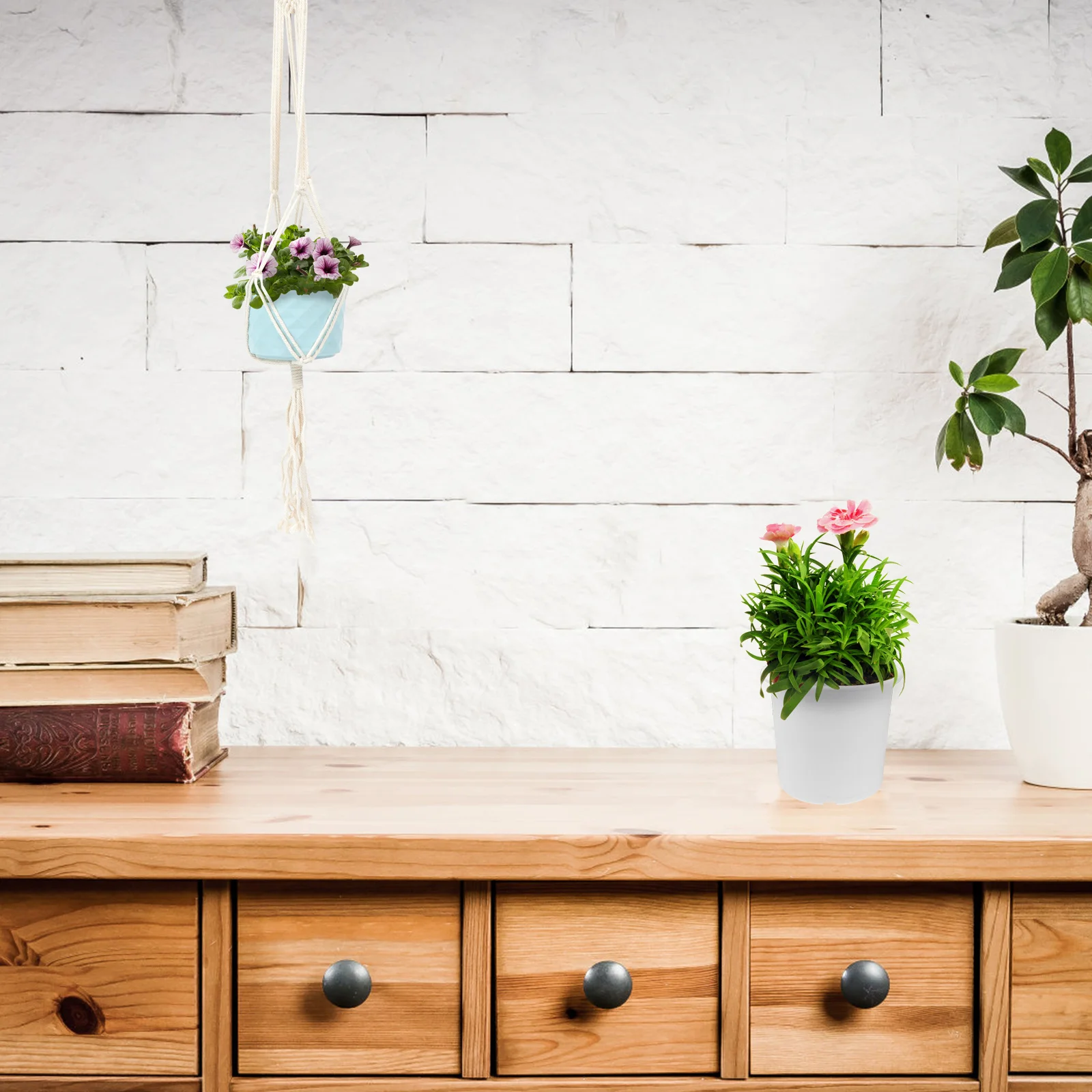 Macrame Ukulele Hanger White Wall Mount For Guitar Flower Pot Holder Handwoven Wall Hanging Decor Plant Hanger
Macrame Ukulele Hanger White Wall Mount For Guitar Flower Pot Holder Handwoven Wall Hanging Decor Plant Hanger