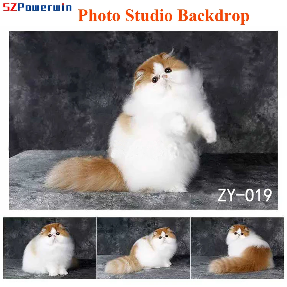 Фон для фотостудии Powerwin 2X3M 6.5X9.8ft, фоновая ткань для фотосъемки питомцев, живопись кошками и собаками маслом, хромакей-контроль
Фон для фотостудии Powerwin 2X3M 6.5X9.8ft, фоновая ткань для фотосъемки питомцев, живопись кошками и собаками маслом, хромакей-контроль
