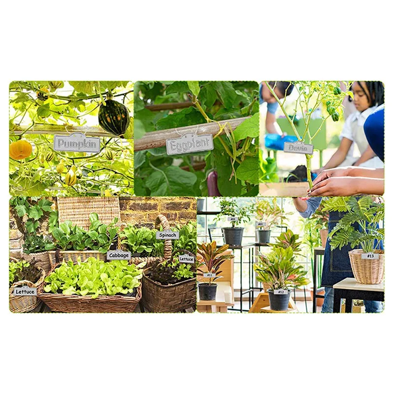 Металлические маркеры для садовых растений, алюминиевые садовые бирки, уличные маркеры для растений, металлические таблички для растений
Металлические маркеры для садовых растений, алюминиевые садовые бирки, уличные маркеры для растений, металлические таблички для растений