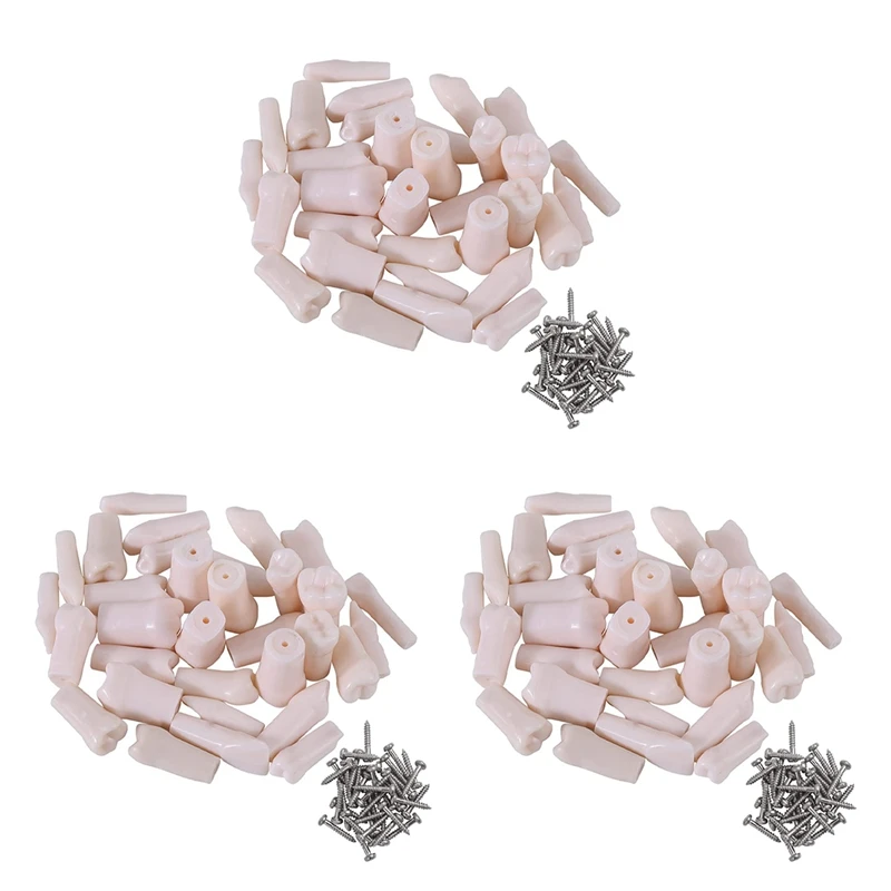 96Pcs Model Teeth Model For Typodont Teeth Model Removable Teeth Use For Practice And Teaching
96Pcs Model Teeth Model For Typodont Teeth Model Removable Teeth Use For Practice And Teaching