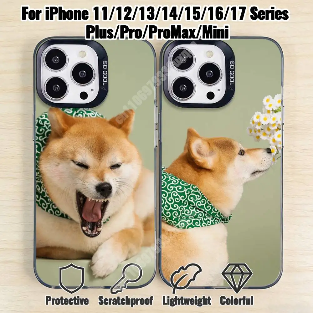 Cute Shiba Inu Dog Phone Case for iPhone 17 16 15 Max Mini 14 13 Pro Plus 12 11 X XS Air IMD Cover
Cute Shiba Inu Dog Phone Case for iPhone 17 16 15 Max Mini 14 13 Pro Plus 12 11 X XS Air IMD Cover