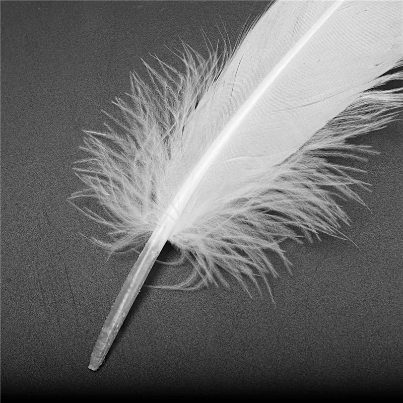 ASDS-400Pcs White Feathers Goose Craft For Party Hat Crafts Wedding Decoration 15-22Cm
ASDS-400Pcs White Feathers Goose Craft For Party Hat Crafts Wedding Decoration 15-22Cm