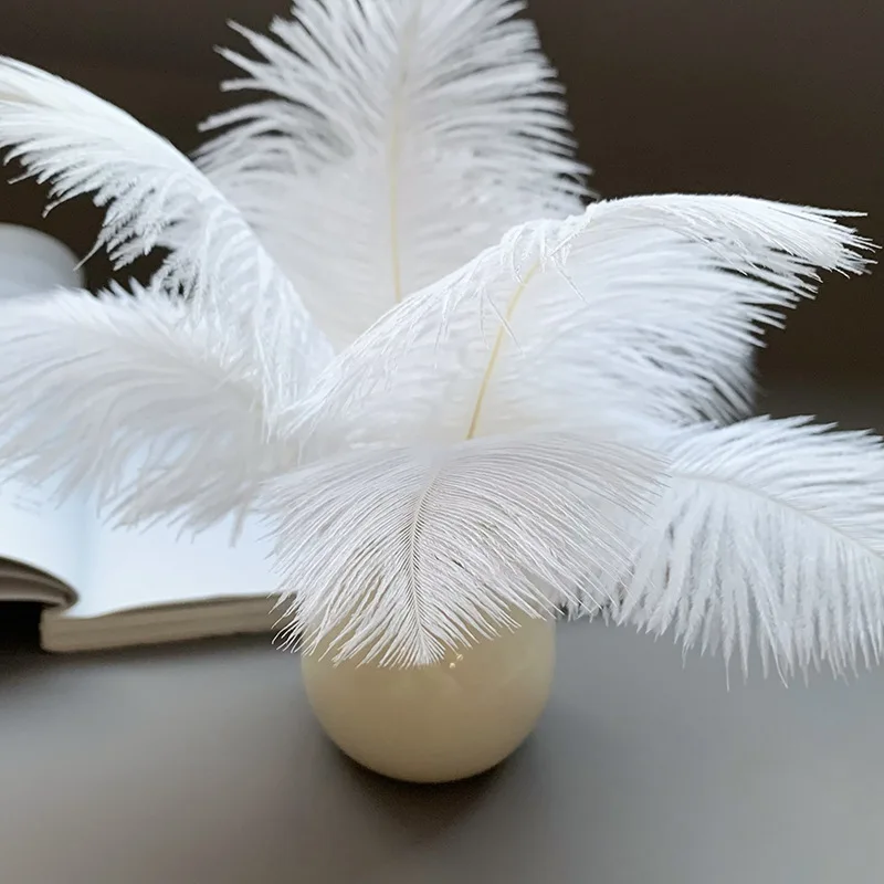 White Ostrich Feather Feathers Natural 6-8inch Plumes for DIY Costume Dress Making Home Decor and Gatsby Party Decorations
White Ostrich Feather Feathers Natural 6-8inch Plumes for DIY Costume Dress Making Home Decor and Gatsby Party Decorations