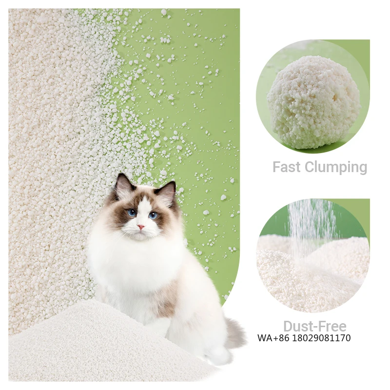 Прочный хлопающий, без пыли и биоразлагаемый смывной светильник, безопасный для домашних животных OEM, экологически чистый кошачий туалет из маниоки
Прочный хлопающий, без пыли и биоразлагаемый смывной светильник, безопасный для домашних животных OEM, экологически чистый кошачий туалет из маниоки