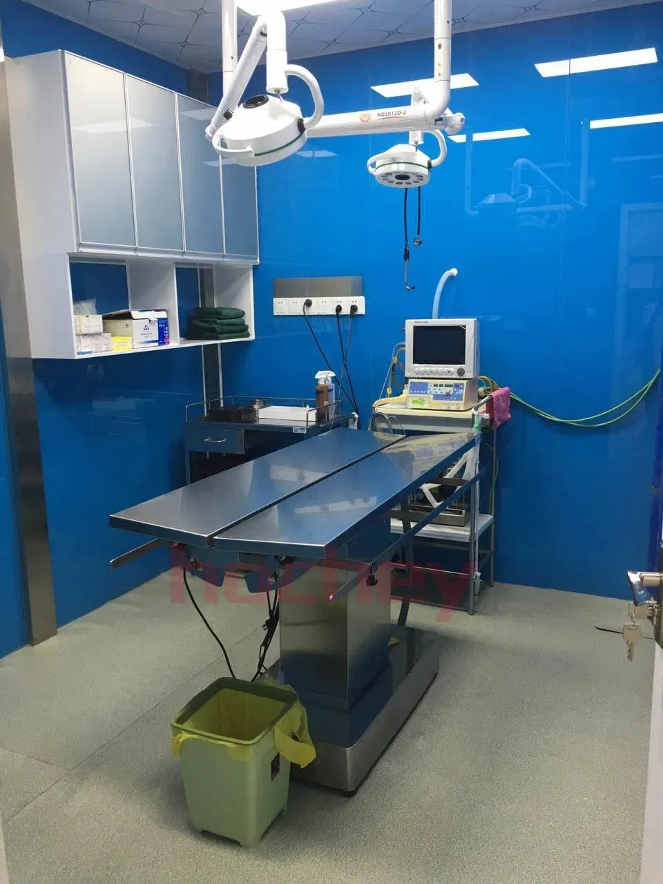 Mt Medical Animals Professional Electric V Shape Operating Vet Surgical Table Veterinary Surgery Table
Mt Medical Animals Professional Electric V Shape Operating Vet Surgical Table Veterinary Surgery Table